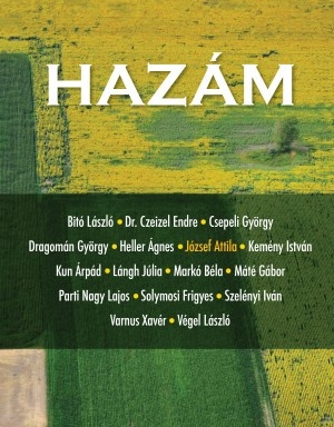 hazam